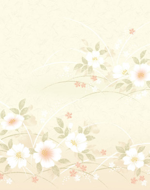 戸建て用廉価品