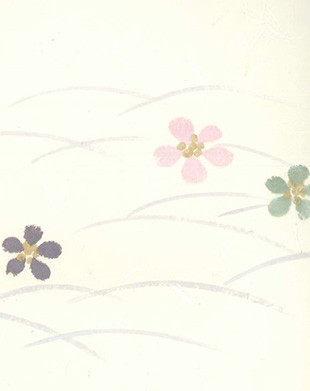 戸建て高級品(和紙タイプ)